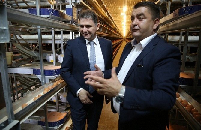 Farma koka nosilja u Martinićima proširila kapacitete: Proizvode jaja prema standardima EU