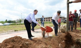 Zasađen novi drvored na Bulevaru Mihaila Lalića u Podgorici