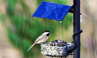 Evo kakvo vas vrijeme očekuje za dane vikenda