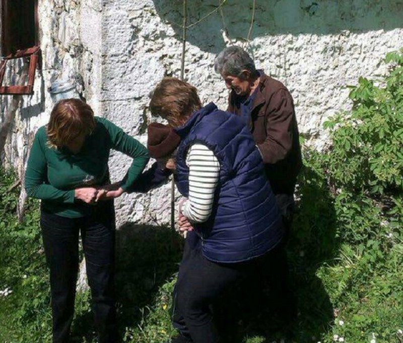 1329312510209240749273983740906462n