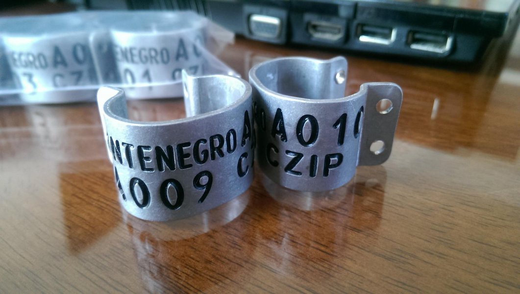 PrstenovizamladerodesaoznakomCZIPMontenegro