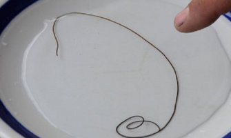 Nikšićani zabrinuti: Konjska dlaka iz česme