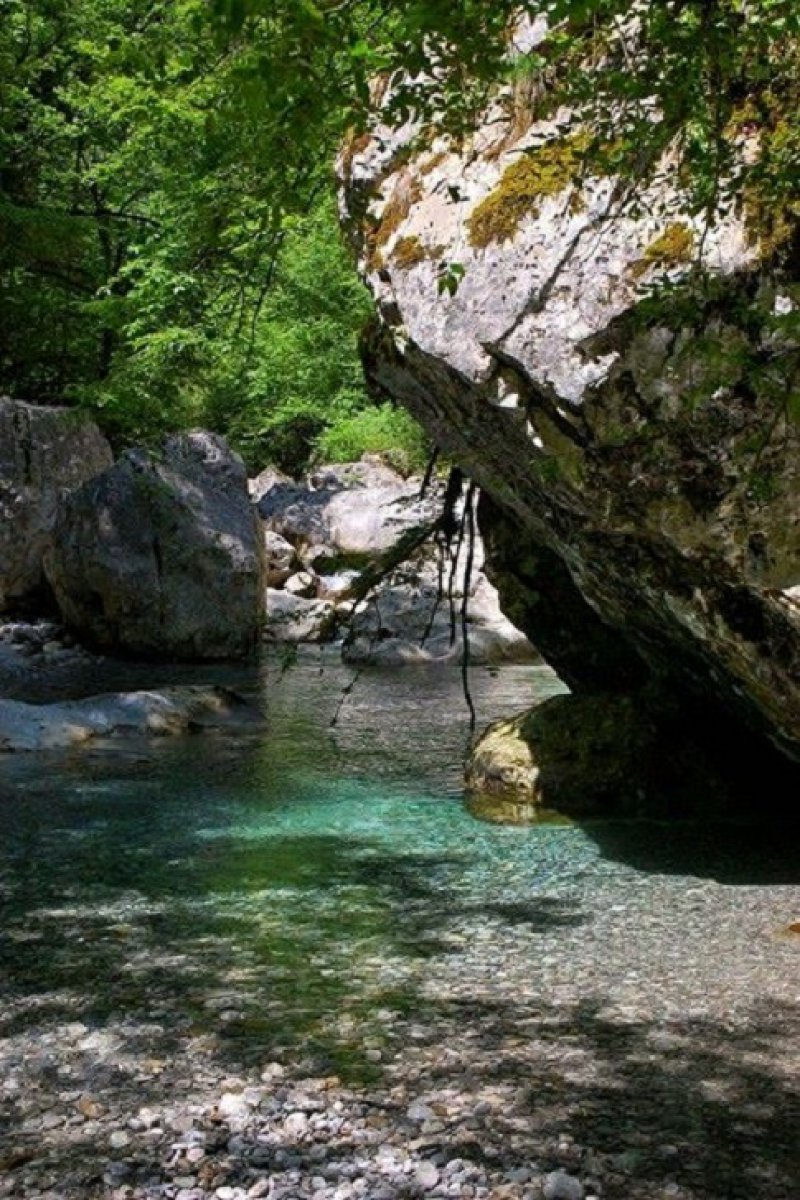 13335385558279364342114723624667n