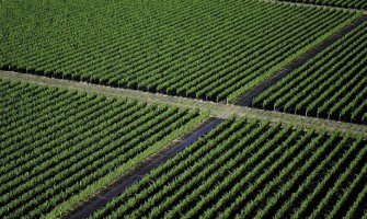 Račun Plantaža deblokiran