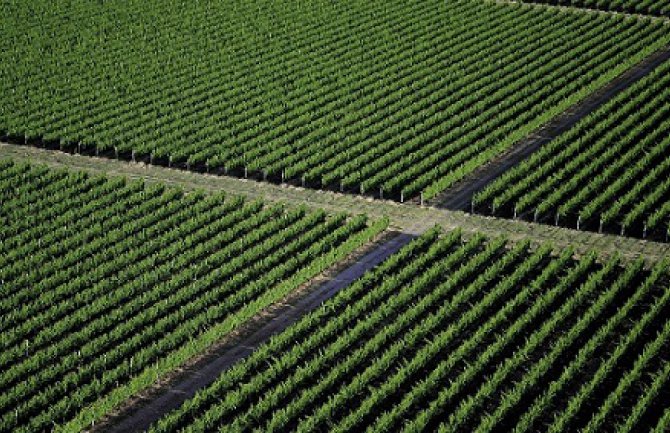 Račun Plantaža deblokiran