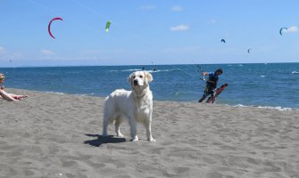 Kiša poslijepodne, do 28 stepeni 