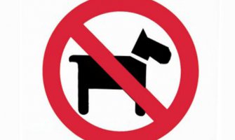 Bečići: Muškarac demolirao bar jer mu nijesu dozvolili da uđe sa psom