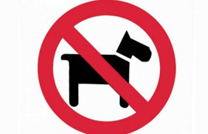 Bečići: Muškarac demolirao bar jer mu nijesu dozvolili da uđe sa psom