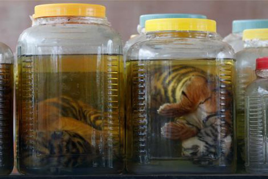 4d172013f51f1d531ba9ba737d45b9ee