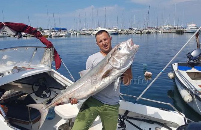 Baranin ulovio gofa  teškog 25 kilograma