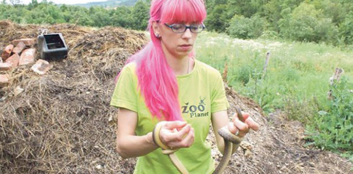 575f97ef7ddc4f0d82f87ec1b0765237zmijeposkoksmukleglodrnpreviewOrg