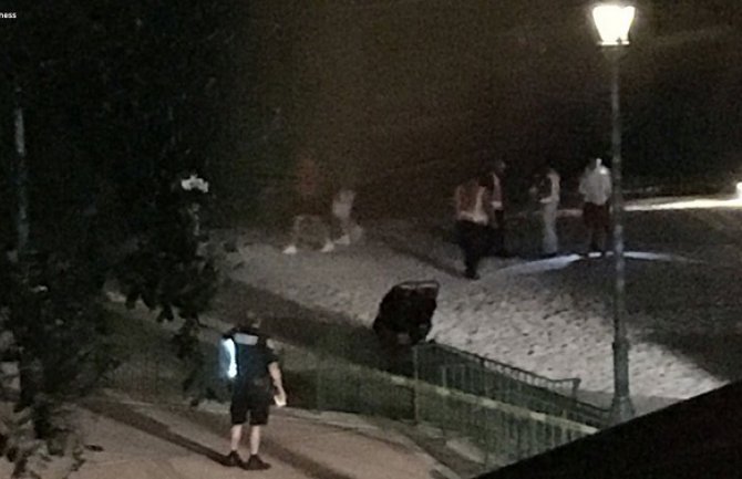Drama na Floridi: Aligator sa plaže odvukao dvogodišnjeg dječaka, policija traga za njim
