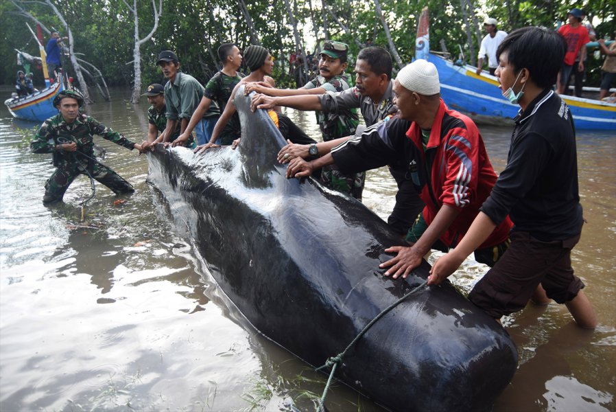 2016061621753379911372853Web