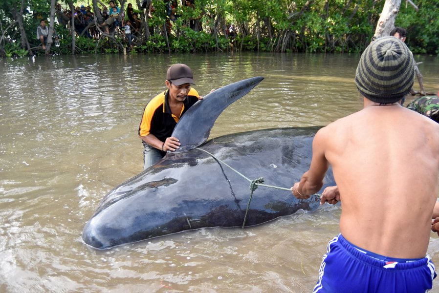 2016061621753379911372855Web