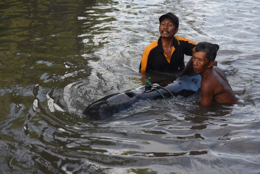 2016061621753379911372857Web