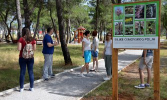 Uređivali Ćemovsko polje