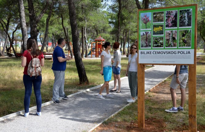 Uređivali Ćemovsko polje