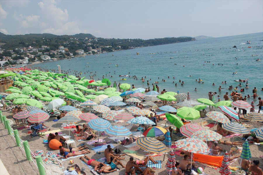 2016062021758990311486273Web