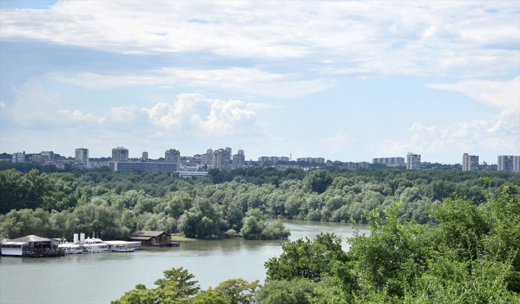 2016062021759013411486738Web