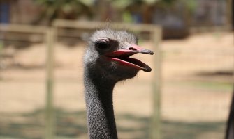 Evo kakvo nas vrijeme očekuje do petka