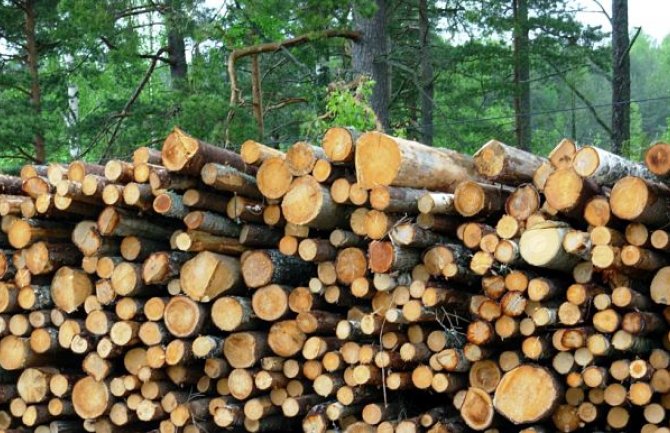 Najjeftiniji vid grijanja u Crnoj Gori i dalje drvo: Evo kako da smanjite cijenu struje