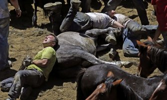Stotine ljudi pokušalo ukrotiti divlje konje (Foto)