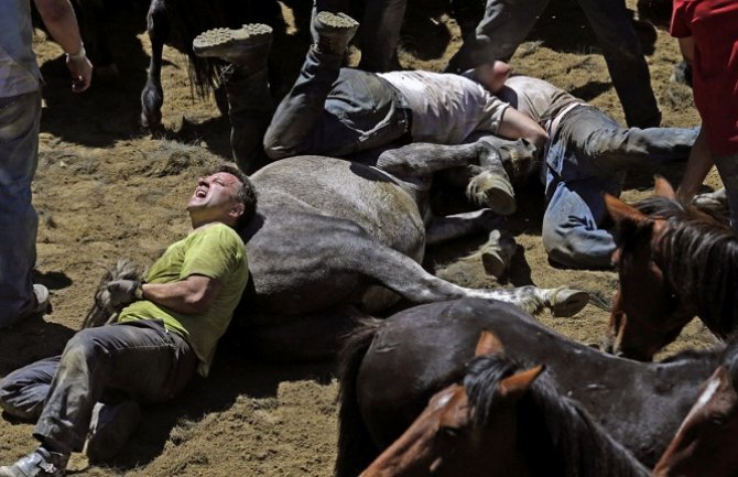 Stotine ljudi pokušalo ukrotiti divlje konje (Foto)