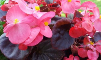 Vremenska prognoza za danas i sjutra