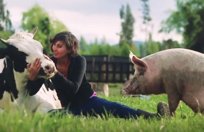 Azil u Čileu prima sve napuštene životinje, kako kućne ljubimce tako i domaće (VIDEO)