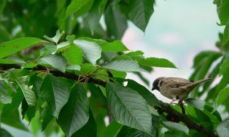 Danas pretežno sunčano i veoma toplo