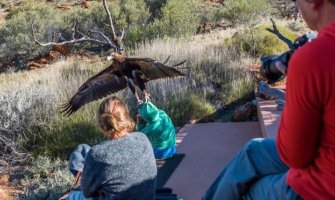 Orao kandžama uhvatio dječaka za glavu i duksericu, htio da odleti s njim (FOTO)