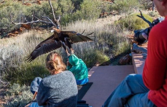Orao kandžama uhvatio dječaka za glavu i duksericu, htio da odleti s njim (FOTO)