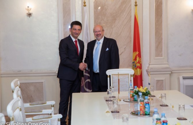 OEBS kontinuirano podržavao demokratske procese u CG