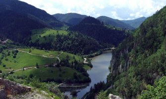 Tara: Novosađanka zalutala u šumi pa zaspala u medveđoj jazbini