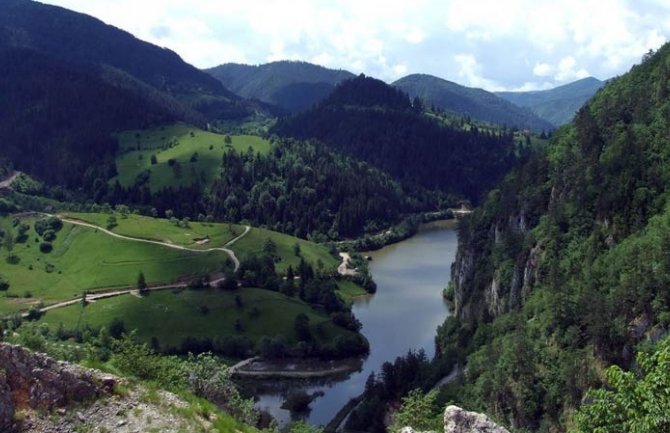 Tara: Novosađanka zalutala u šumi pa zaspala u medveđoj jazbini