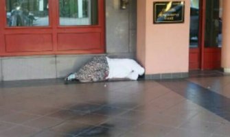 Majke iz Rožaja prespavale ispred Ministarstva, Marić obećao pomoć