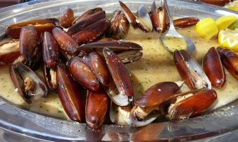 Država pokušava da zaustavi sakupljanje prstaca