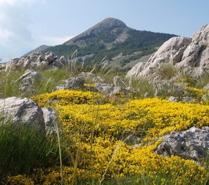 LovcenFotoSlavicaDjurisic