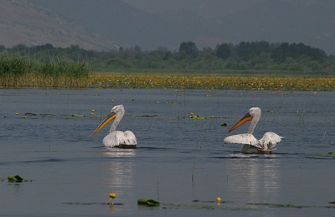 Odvojite vrijeme za sebe i ovoga vikenda posjetite Skadarsko jezero, planinu Lovćen ili Prokletije