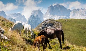 Odabrane najljepše fotografije Zelenog pojasa u Crnoj Gori (FOTO)