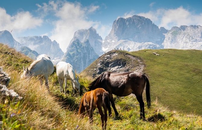 Odabrane najljepše fotografije Zelenog pojasa u Crnoj Gori (FOTO)