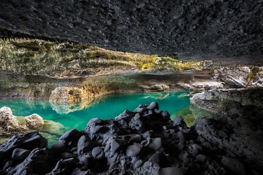 ZeljkoScepanovicPecina3