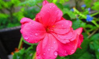 Za vikend nas očekuje pogoršanje vremena