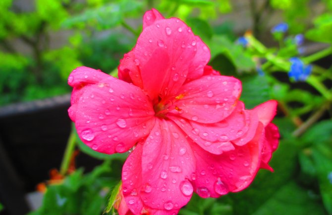 Za vikend nas očekuje pogoršanje vremena