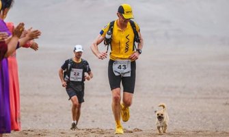 Napušteni pas trčao 125 kilometara uz maratonca i našao sebi dom (Foto)