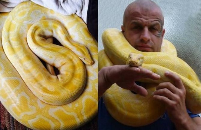 Budvanin Božo Radović već 11 godina ima PITONA za kućnog ljubimca (Foto)