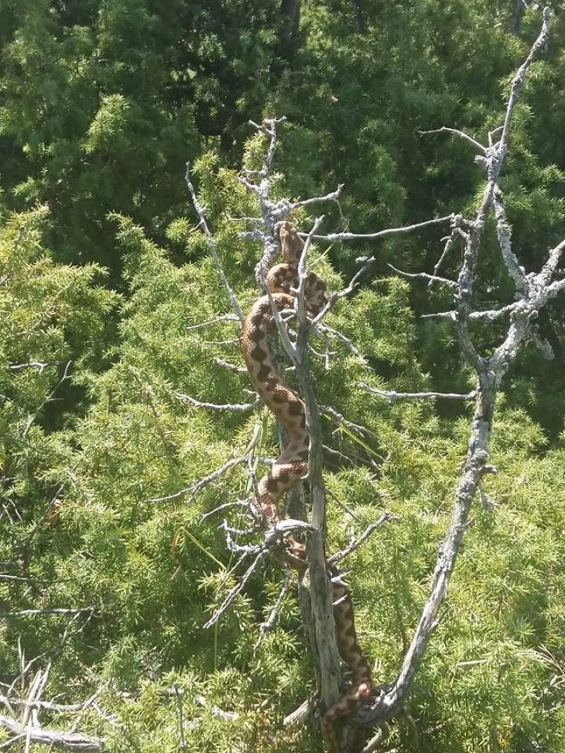 139395916750229293123847424850897049400924n