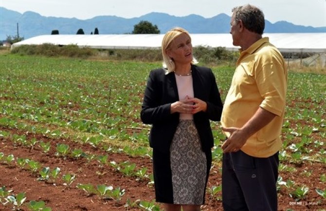 Država mora da zaštiti poljoprivredne proizvođače i domaće proizvode