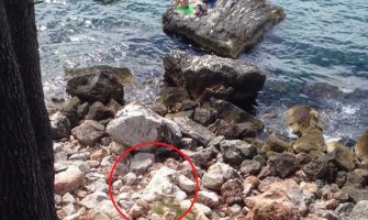 Crkotina na plaži u Baru (FOTO)