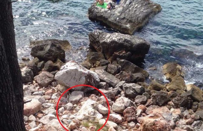 Crkotina na plaži u Baru (FOTO)